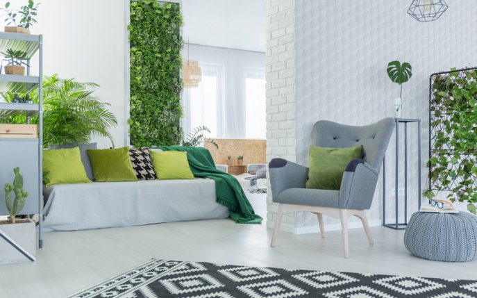 7 tipuri de plante ieșite din comun pentru un decor cu adevărat deosebit