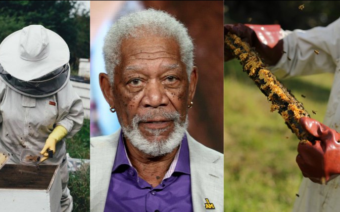 Morgan Freeman și-a transformat ferma într-un sanctuar pentru albine, pentru a salva planeta