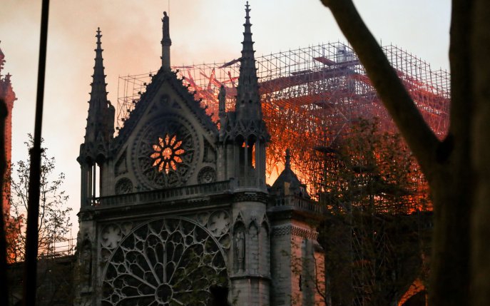O lume unită în durere. Reacțiile celebrităților în urma incendiului devastator de la Notre Dame din Paris