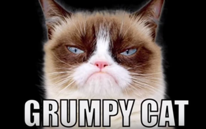 Grumpy Cat a murit, la numai 7 ani. Vezi cauzele morții!