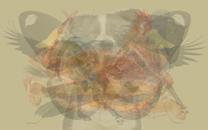 Animalul pe care îl vezi primul spune adevărul despre personalitatea ta