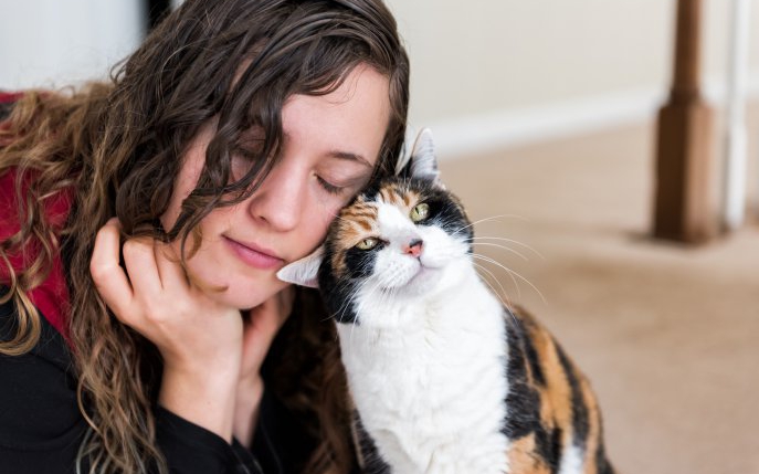 Întâlnire emoționantă! O pisică își revede stăpâna după 11 ani