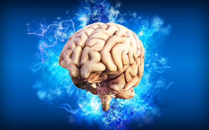 Cum te ajută amigdala cerebrală în situații-limită