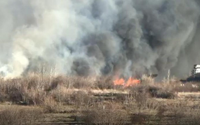 Arde Delta Văcărești! Flăcările sunt foarte aproape de mall-ul de la Piața Sudului