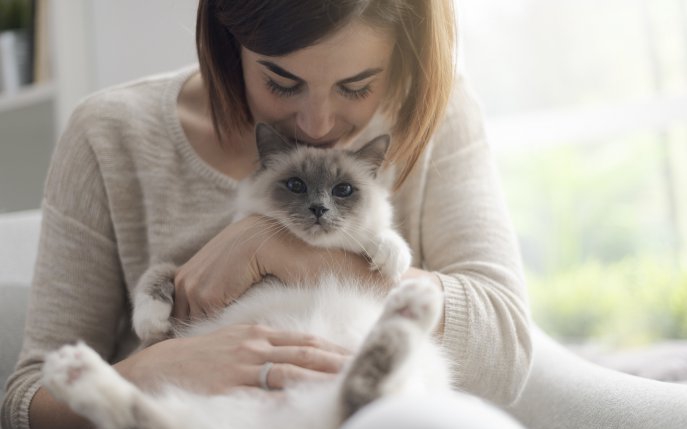 Cele mai longevive pisici: 10 rase de feline care chiar au 9 vieți