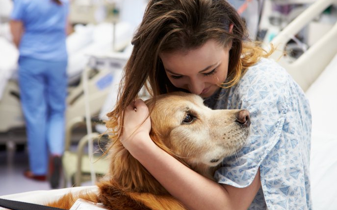 Salvatorul de suflete! Primul câine cu atestat de terapeut, care a vindecat sute de oameni