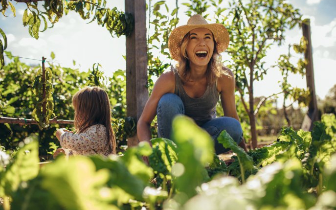 Tot ce trebuie să știi despre agricultura regenerativă: sănătate și conștiință în farfuria ta