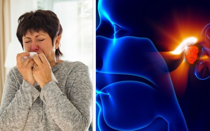 Coronavirus sau alergie de sezon? Diferențele și asemănările dintre simptomele COVID-19 și ale alergiilor respiratorii