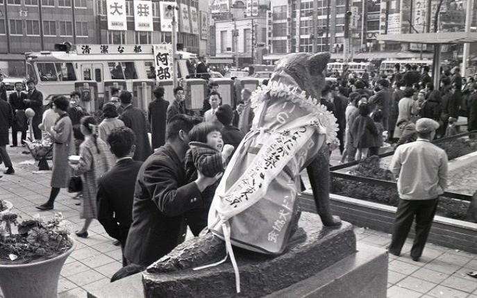 Cea mai tristă poveste din lume: s-au împlinit 85 de ani de la moartea lui Hachiko, cel mai fidel câine din lume