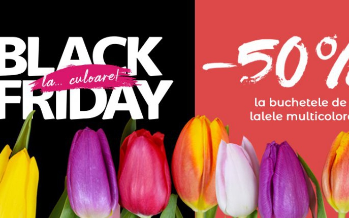 Black Friday cu mai multă culoare: 50% reducere la lalele multicolore pe Floria.ro