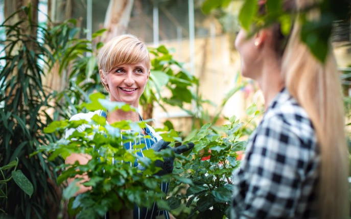 Cum să îți consolidezi relația cu furnizorul tău de produse pentru grădină