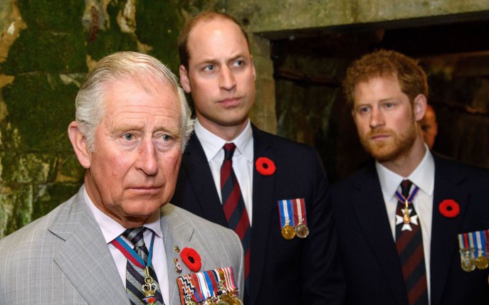 Cum a decurs prima discuție dintre prinții Harry, William și Charles, după controversatul interviu acordat lui Oprah Winfrey