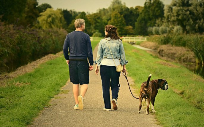Cum dresezi câinele să meargă la pas cu tine la plimbare