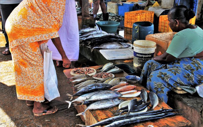 7 indicii simple să alegi din piață un pește proaspăt