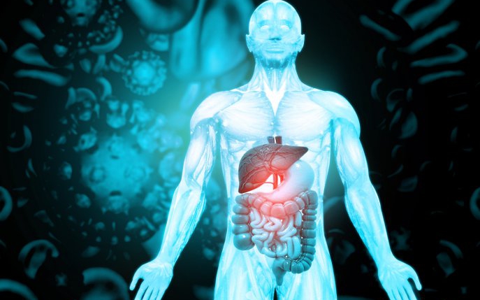 18 lucruri neștiute despre anatomia corpului uman