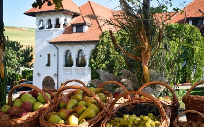 Toamna se numără strugurii! Participă la cel mai așteptat eveniment al toamnei de la Casa Timiș