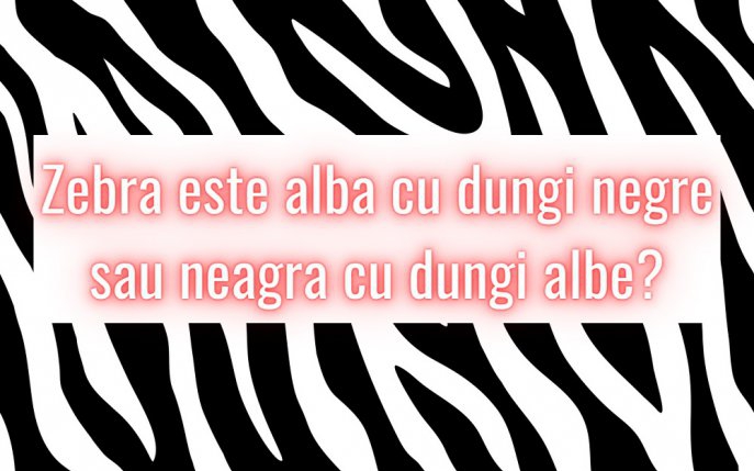 Zebra este albă cu dungi negre sau neagră cu dungi albe? Misterul a fost elucidat!