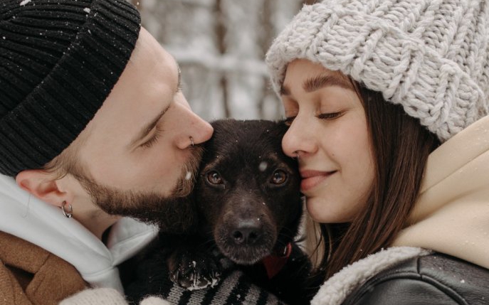 Motivele evidente pentru care cuplurile care au animale de companie sunt cele mai fericite din lume