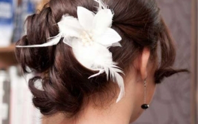 Cocul, o alternativa simpla si eleganta
