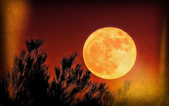 Cum îți va afecta semnul zodiacal Luna Recoltei din 10 septembrie 2022
