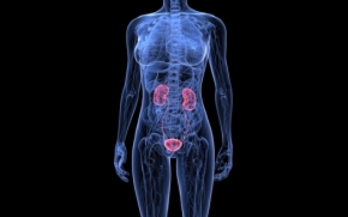 Duplicitatea ureterala - Simptome, diagnostic, tratament