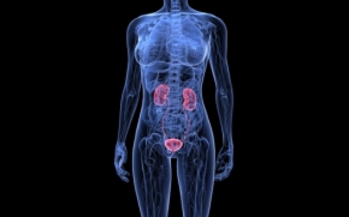 Duplicitatea ureterala - Simptome, diagnostic, tratament