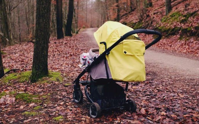 O fată ia acasă un băiețel abandonat, ani mai târziu avocatul o informează despre moștenirea lui de 2,7 milioane de dolari