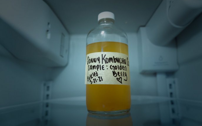 Cât, cum și cât de des ar trebui, de fapt, să beți kombucha