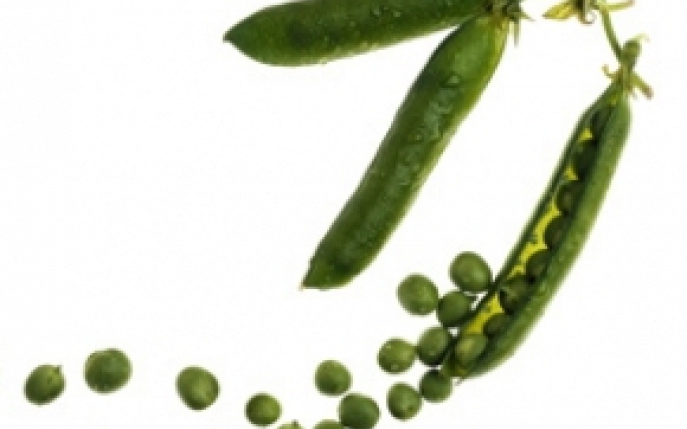 Mazarea - Informatii nutritionale si proprietati terapeutice