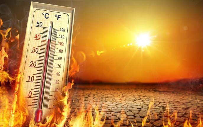 România este "inundată" de temperaturi extreme! Luna iulie ar putea fi cea mai călduroasă din ultimii 120.000 de ani