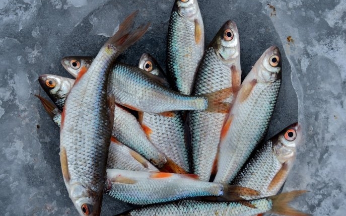 O femeie a rămas fără mâini și fără picioare după ce a mâncat pește