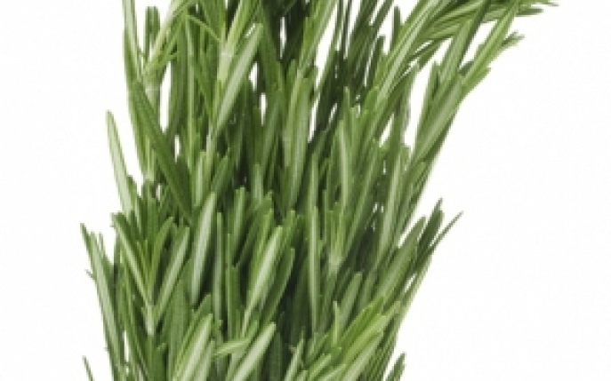 Tarhonul - Informatii nutritionale si proprietati terapeutice