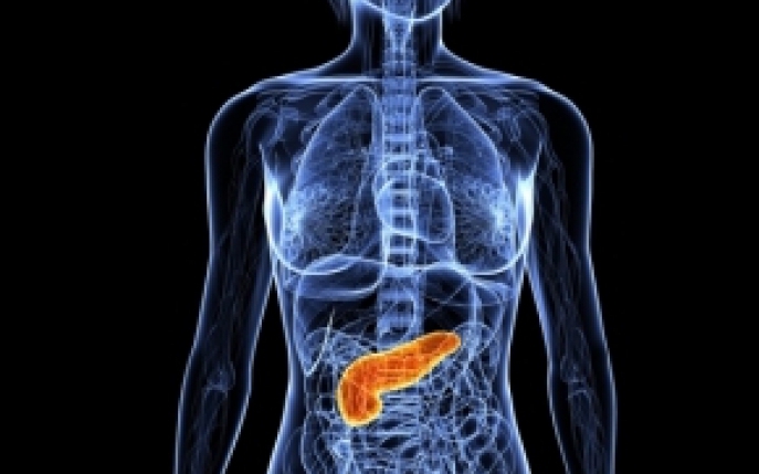 Cancerul pancreasului endocrin (insulinomul)- simptome, diagnostic si tratament