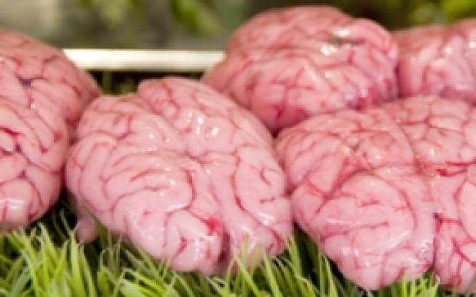 Creierul de vaca (fiert) - Informatii nutritionale