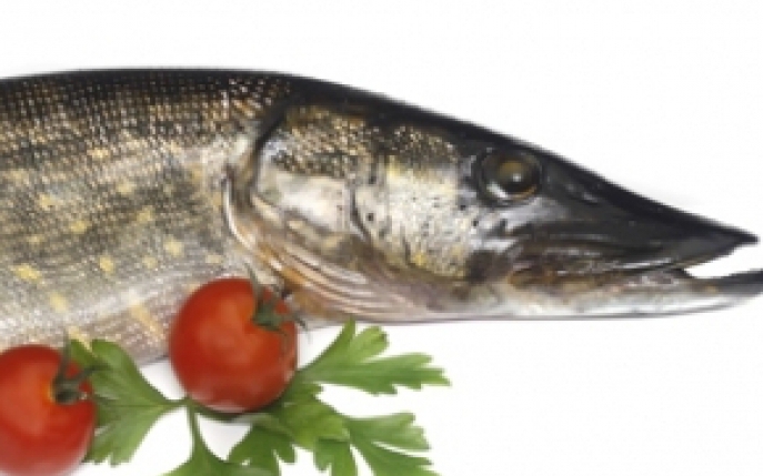 Stiuca - Informatii nutritionale si proprietati terapeutice