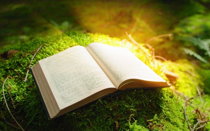 Psalmii ortodocși: când să îi citești și cum te pot ajuta în viață