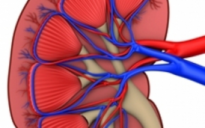 Sindromul Goodpasture - simptome, diagnostic si tratament