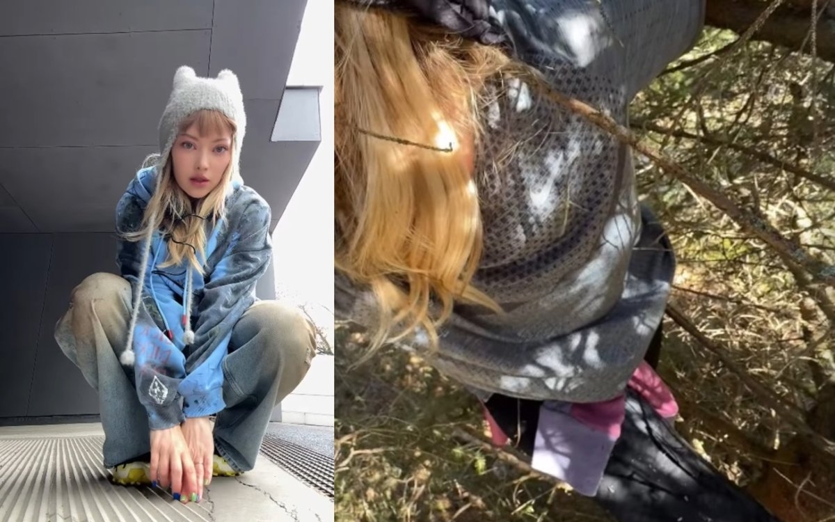 Momente de panică pentru Delia, în timp ce alerga într-un parc din capitală. S-a urcat într-un copac pentru a scăpa de câțiva câini agresivi