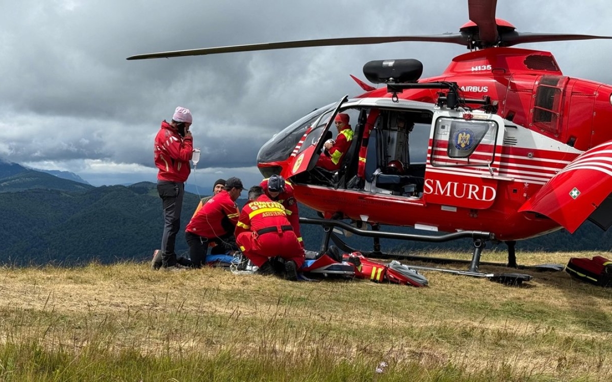 Un cioban de 19 ani a fost atacat de un urs în Azuga. S-a rănit grav cu o petardă în încercarea de a scăpa cu viață