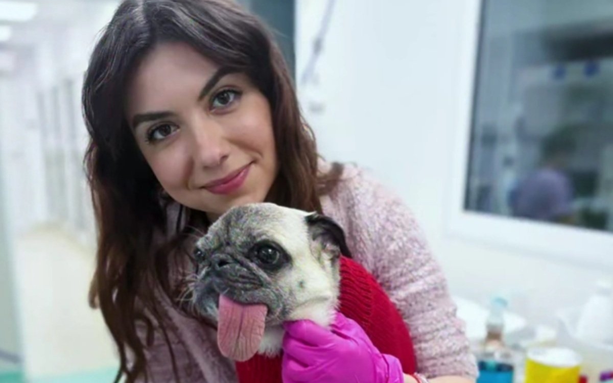 Ștefania a plecat într-o lume mai bună la numai 28 de ani. Și-a dedicat viața medicinei veterinare, dar destinul i-a fost curmat într-un cumplit accident