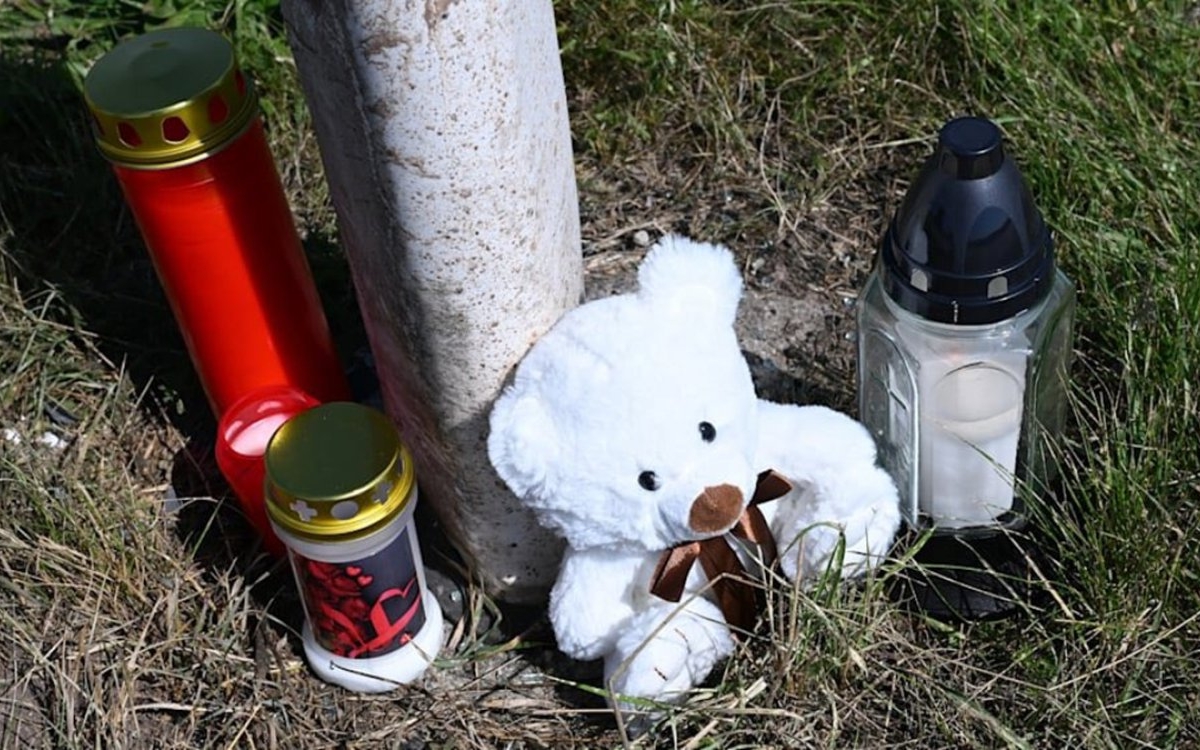 Alexandru, un român stabilit în Germania, și-a înjunghiat iubita și apoi a provocat un accident rutier, aflându-se în mașină cu cei doi copii. Doar fetița de 2 ani a supraviețuit