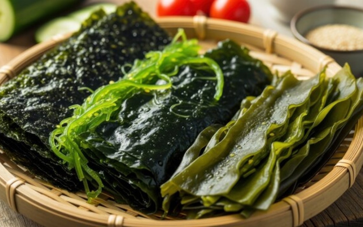 Alge kombu: beneficii și mod de utilizare