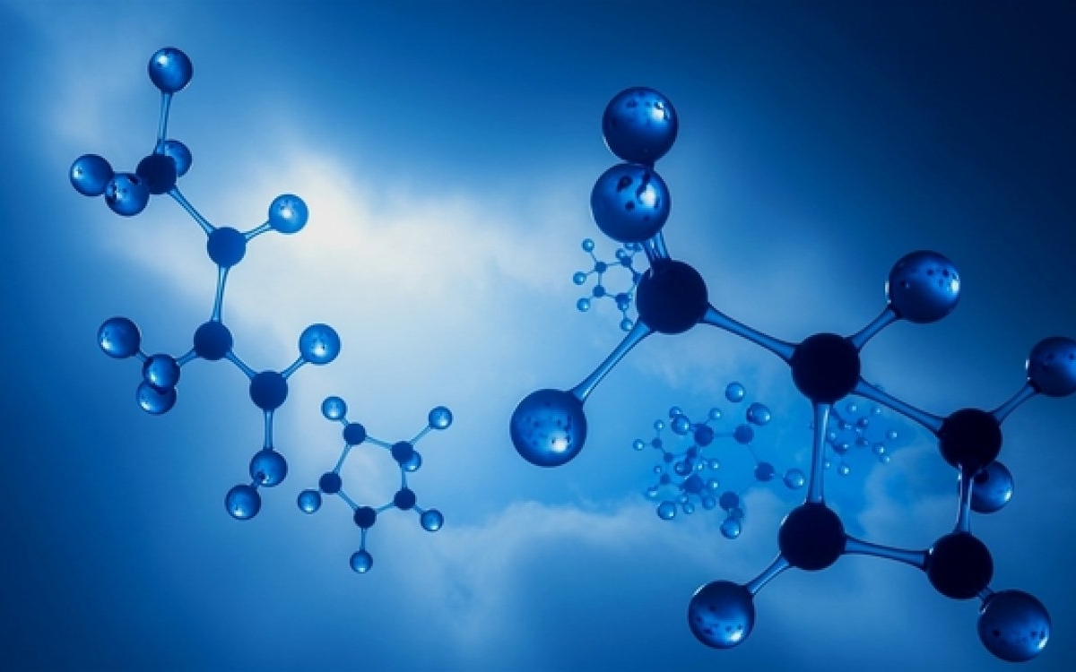 Calciu alfa-cetoglutarat: cea mai nouă descoperire în longevitatea celulară