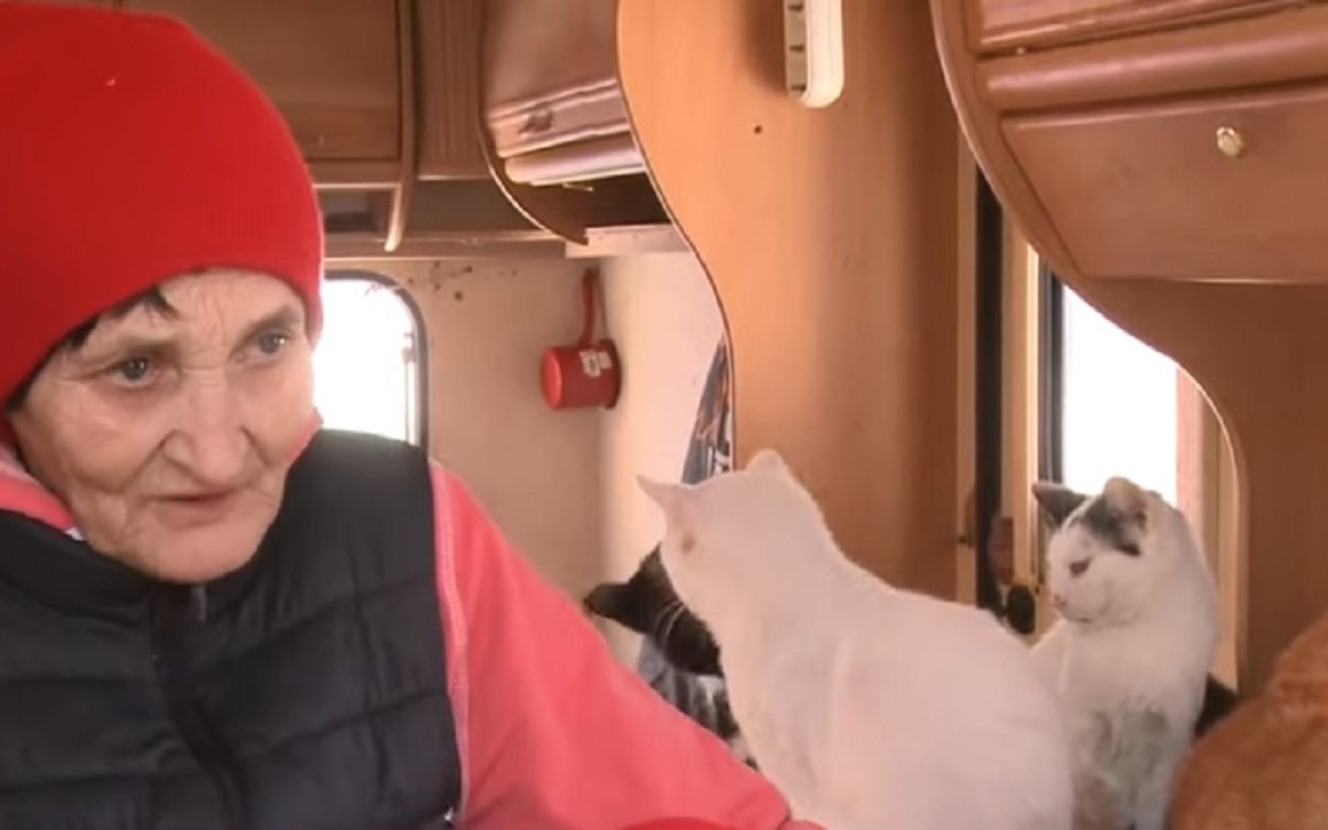 Doamna Ioana are 70 de ani, trăiește într-o rulotă, dar are grijă de 50 de pisici. „Oamenii le aruncă și eu le adun și am grijă de ele”