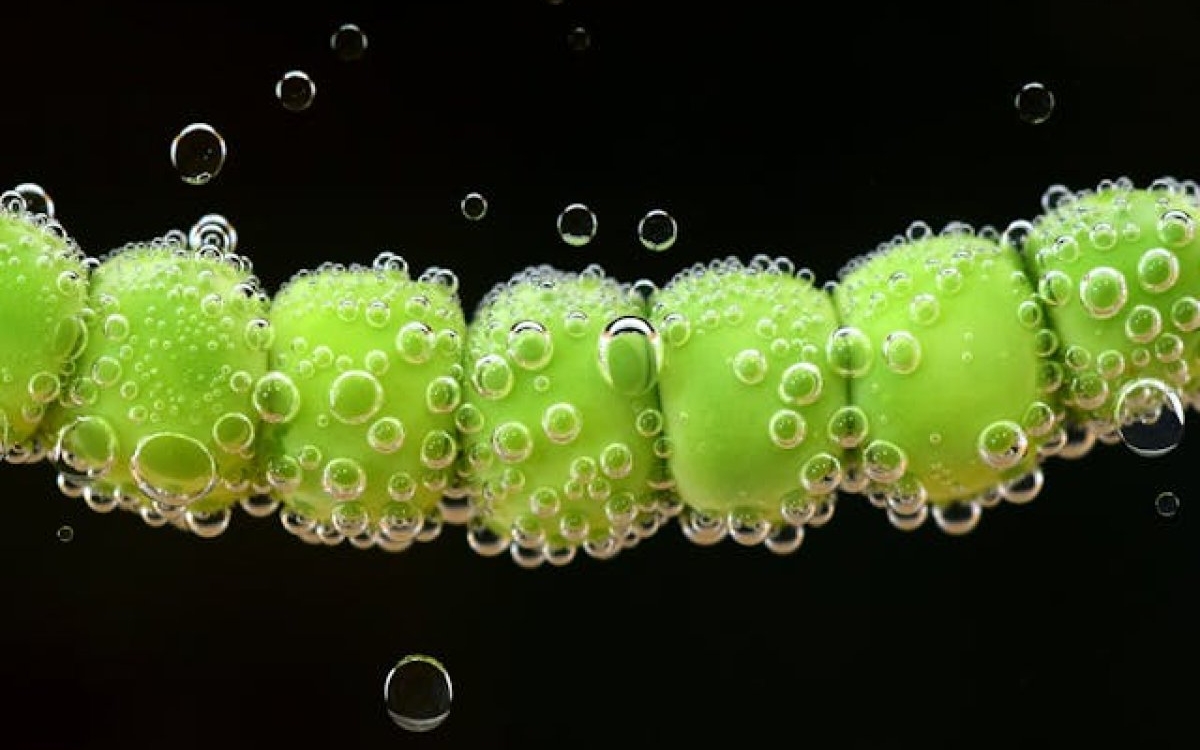 Acid fitic: ce este și cum te poate ajuta