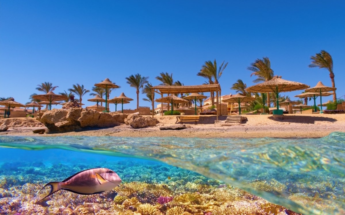 De ce Egipt ar trebui să fie următoarea ta vacanță: ghid complet Coral Travel