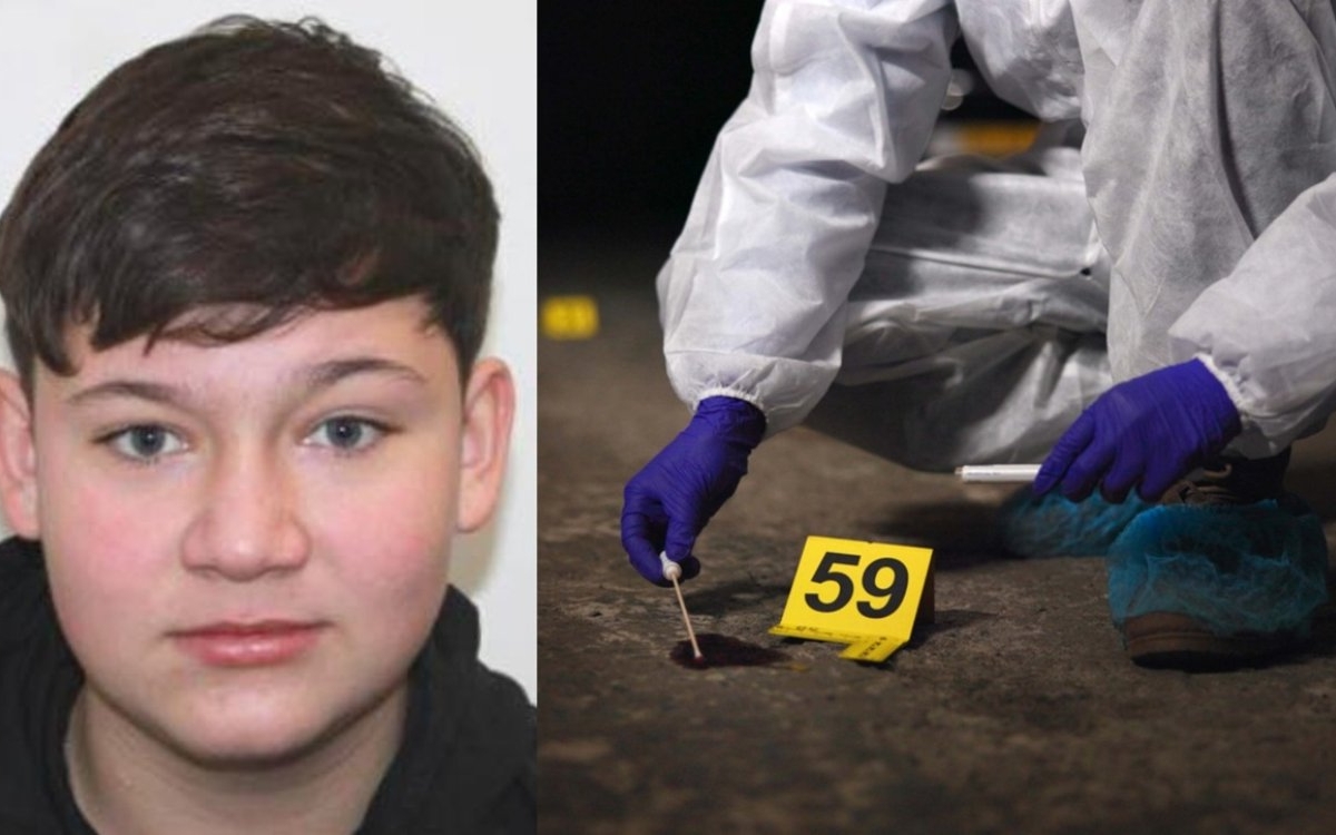 Alin, un adolescent de 15 ani, a fost ucis și găsit îngropat într-o grădină. Principalii suspecți sunt alți doi copii de 15 și 13 ani