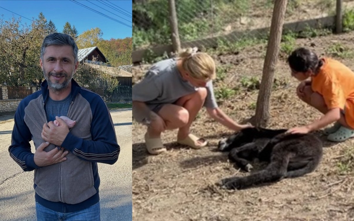 S-a mărit familia lui Dragoș Bucur și a Danei Nălbaru. "Betty e bine". De ce au totuși probleme cu vecinii de la țară