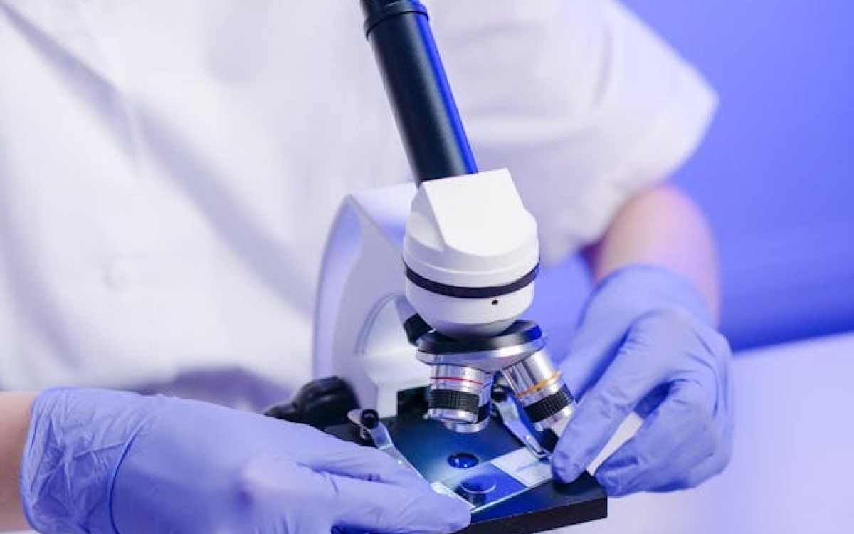 Funcții mitocondriale: ce sunt și cum le sprijini