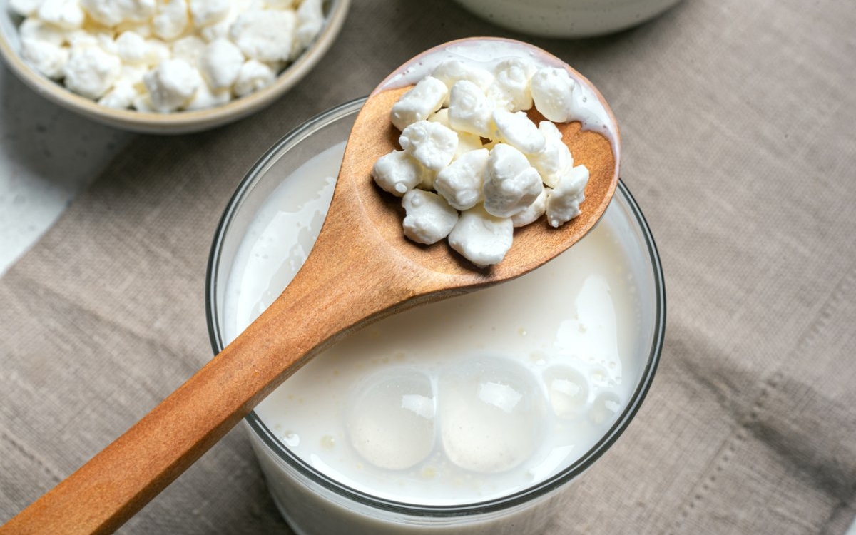 Drojdii de kefir: ce sunt și de ce sunt importante